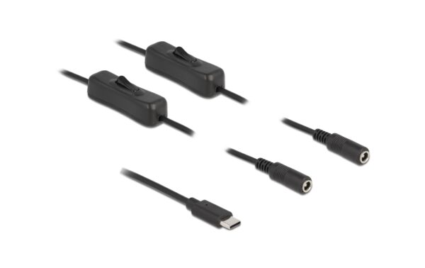 Delock USB-C Stecker zu 2x DC 5.5x2.1mm,1m Mit Schalter,Stecker zu Buchse,1m,Schwarz