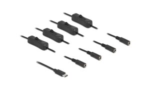 Delock USB-C Stecker zu 4x DC 5.5x2.1mm,1m Mit Schalter,Stecker zu Buchse,1m,Schwarz