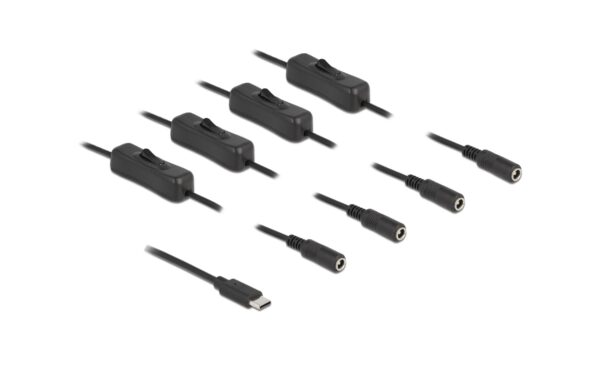 Delock USB-C Stecker zu 4x DC 5.5x2.1mm,1m Mit Schalter,Stecker zu Buchse,1m,Schwarz
