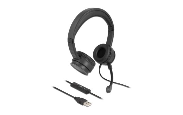 Delock USB Stereo Headset für PC/Notebook mit Kabelfernbedienung und Quick-Mute kaufen Schweiz | Mediatech.ch