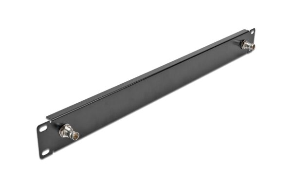 Delock 19 Panel mit 2x BNC Buchse 1 HE, schwarz kaufen Schweiz | Mediatech.ch