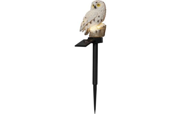Star Trading Solar Decoration Owl 0.06W, IP44, Beige kaufen Schweiz | Mediatech.ch