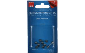 Max Hauri Feinsicherung 3.15A 250V 5x20mm flink, 5 Stk.