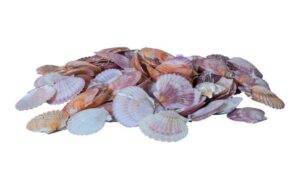 Dekomat  Muscheln im Netz, 300g Weiss-Pink