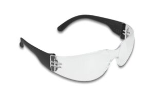 Delock Schutzbrille mit Bügel, Kunststoff Sichtscheiben klar, inklusiv Brillentasche