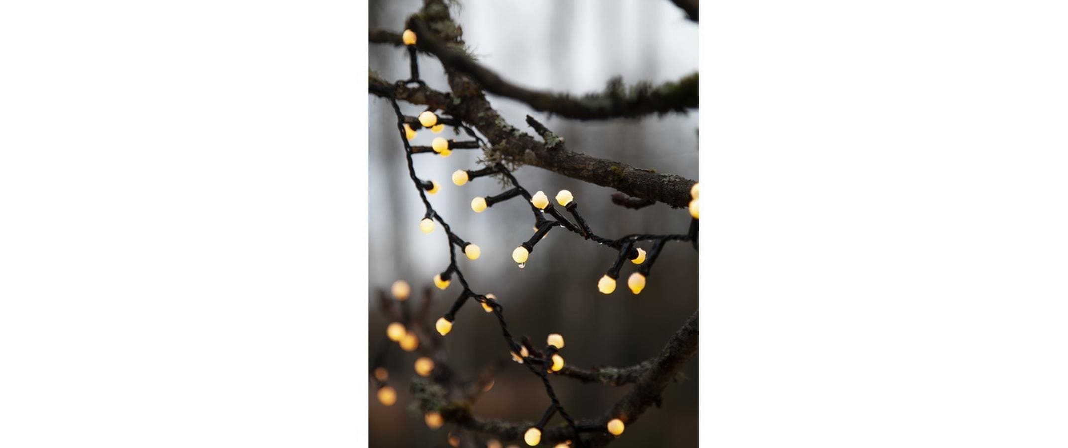 1347351_2 - Mediatech Star Trading Lichterkette Berry Mini schwar inkl. LED WW, IP44, 600cm