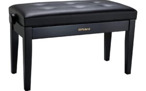 Roland RPB-D300BK Duet size, Satin black Vinyl Seat kaufen Schweiz | Mediatech.ch