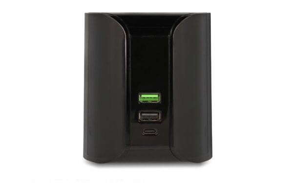 1375810_3 - Mediatech Delock Ladestation 41441 USB und kabellos USB und kabelloses Ladegerät