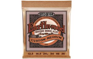 Ernie Ball 2143 Earthwood Phosphor Bronze Akustik Saitensatz, Custom Medium 12,5-56