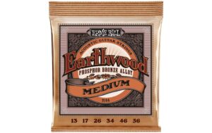 Ernie Ball 2144 Earthwood Phosphor Bronze Akustik Saitensatz, Medium 13-56 kaufen Schweiz | Mediatech.ch