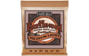 Ernie Ball 2146 Earthwood Phosphor Bronze Akustik Saitensatz, Medium Light 12-54 kaufen Schweiz | Mediatech.ch
