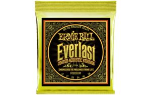 Ernie Ball 2554 Everlast Bronze Akustik Saitensatz, Medium 13-56 kaufen Schweiz | Mediatech.ch