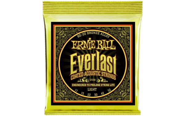 Ernie Ball 2558 Everlast Bronze Akustik Saitensatz, Light 11-52 kaufen Schweiz | Mediatech.ch