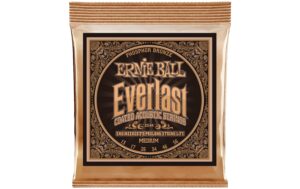 Ernie Ball 2544 Everlast Phosphor Bronze Akustik Saitensatz, Medium 13-56 kaufen Schweiz | Mediatech.ch
