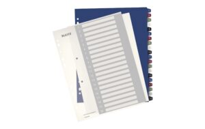 Leitz PC-beschriftbares Register Style 1 - 20