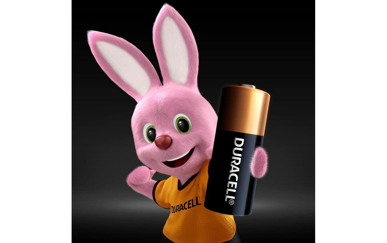 1412574_1 - Mediatech DURACELL Alkaline MN21, 2 Stk 12 Volt, 2 Stück