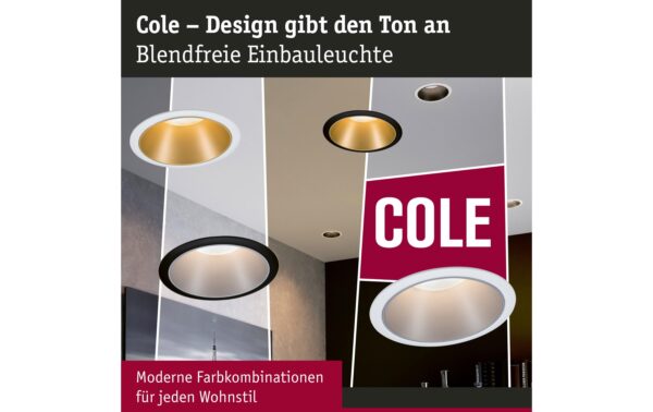 Paulmann EBL Cole max 1x10W GU10 230V schwarz matt silber Alu