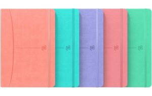 Oxford Notizbuch Office Signatur assortiert A5, 80 Seiten, liniert 6mm