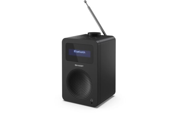 1489002 - Mediatech Sharp DAB Radio DR-430 schwarz kaufen Schweiz | Mediatech.ch