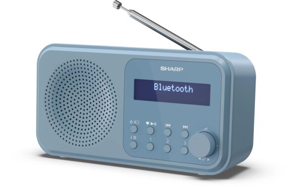 1489004 - Mediatech Sharp Digitalradio DR-P420 blau