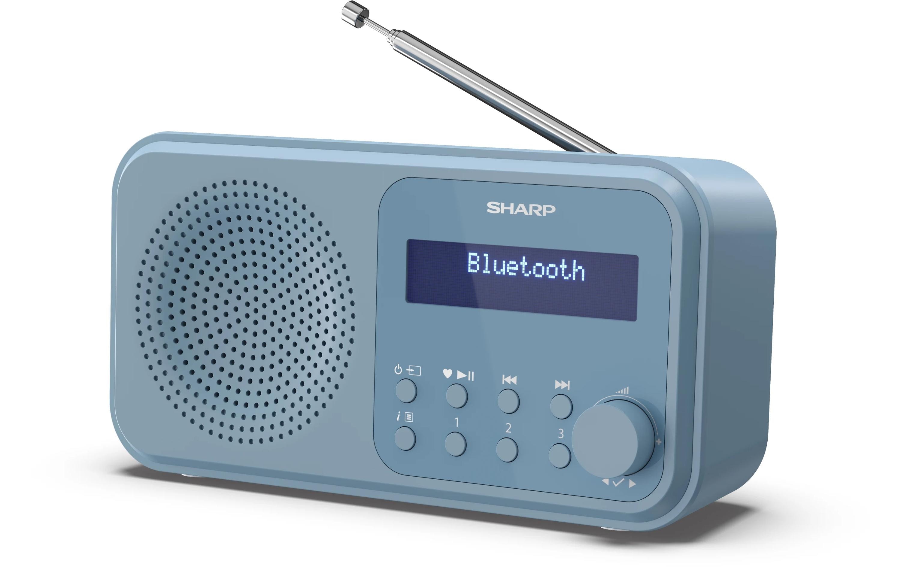 1489004 - Mediatech Sharp Digitalradio DR-P420 blau