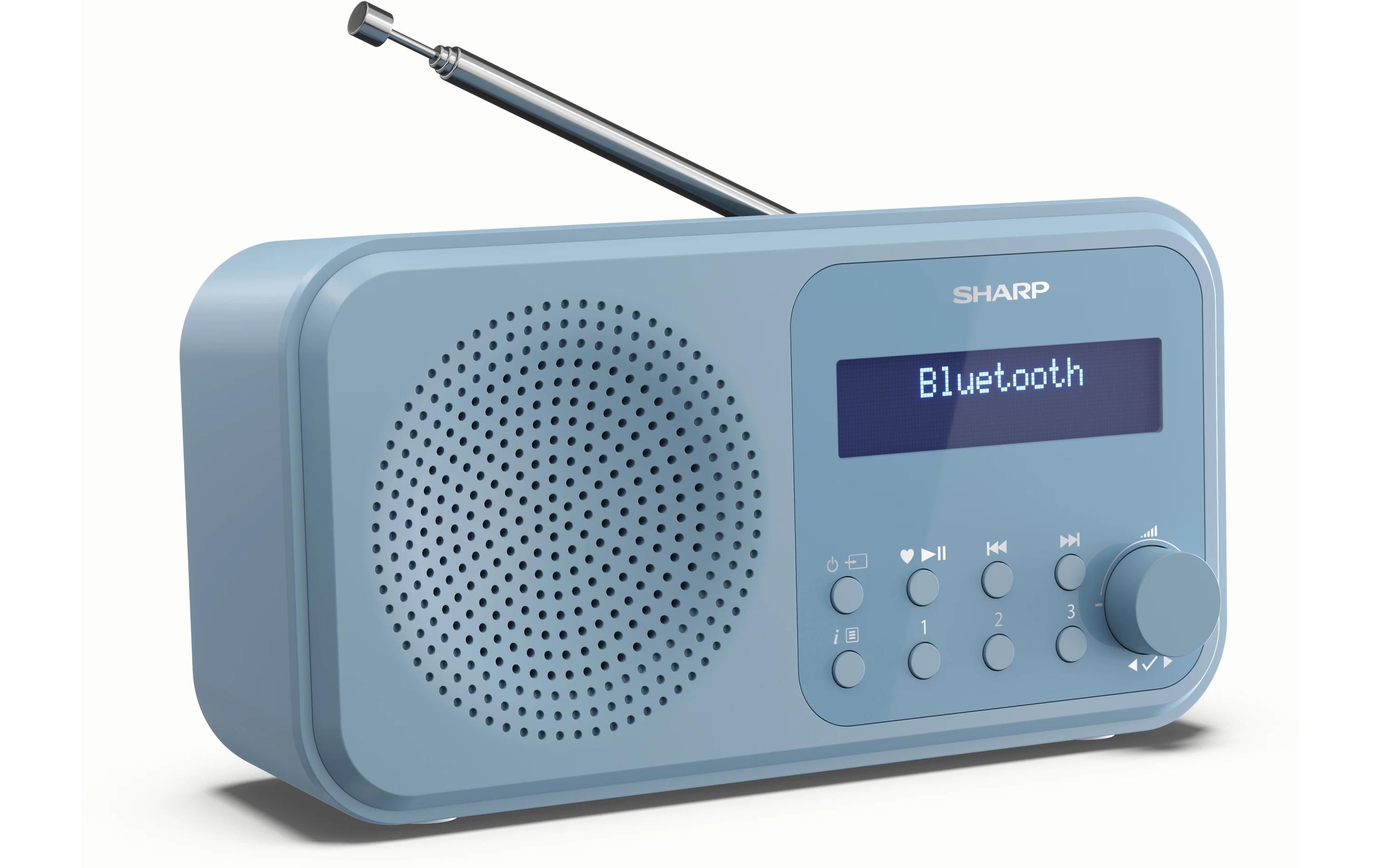 1489004_2 - Mediatech Sharp Digitalradio DR-P420 blau
