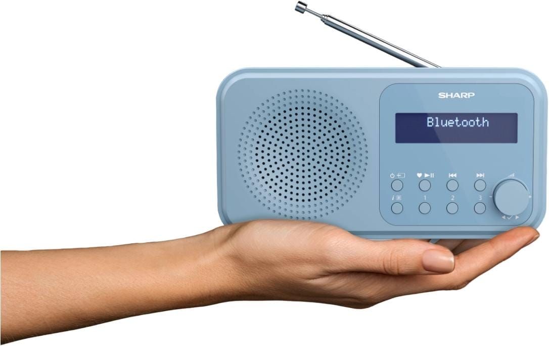 1489004_5 - Mediatech Sharp Digitalradio DR-P420 blau