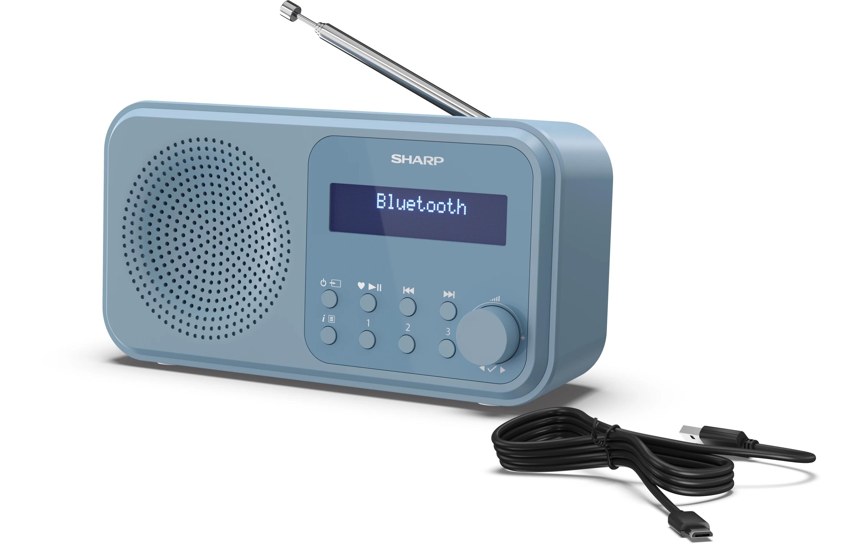 1489004_7 - Mediatech Sharp Digitalradio DR-P420 blau