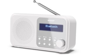 Sharp Digitalradio DR-P420 weiss