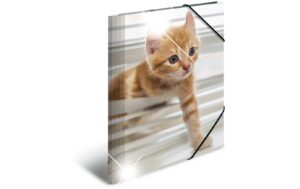 Herma Sammelmappe A4 Glossy Tiere Katzen Material: Polypropylen, mit Innendruck