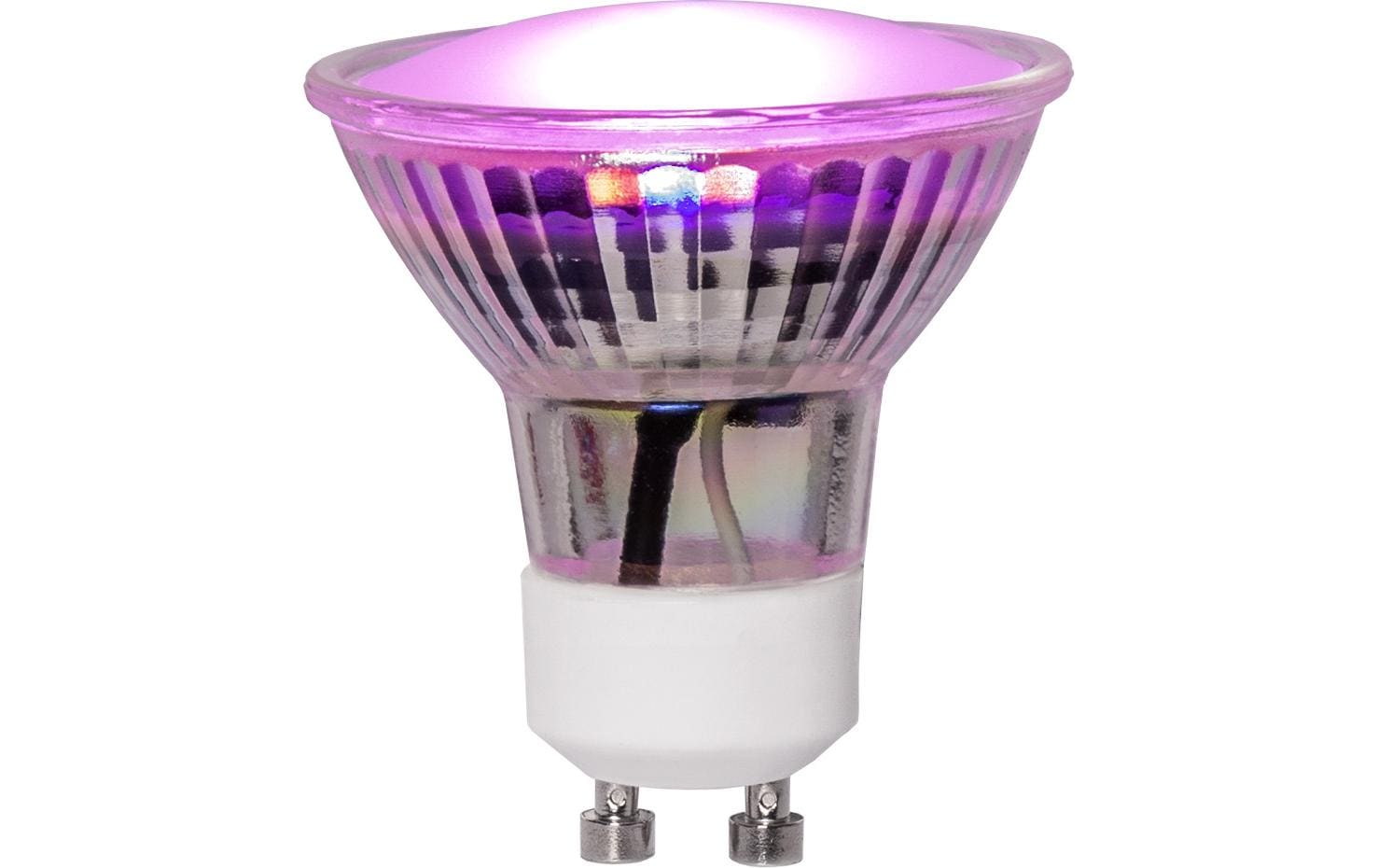 Star Trading LED Pflanzen GU10 MR16 GU10 MR16,3.5 W, 42lm, 230V