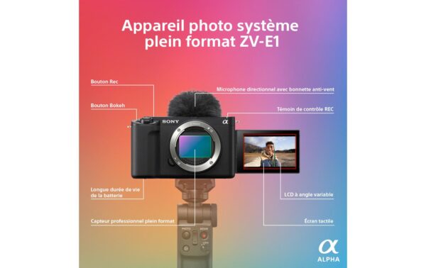 Sony Alpha ZV-E1, 12 MP Body