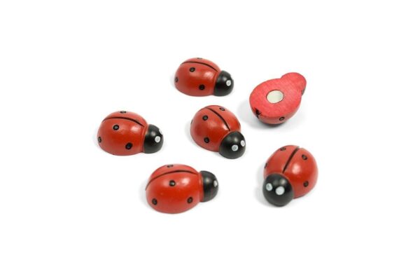 1557137 - Mediatech Trendform Magnete Marienkäfer 6er Set rot 6er Set, rot