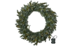 1568587 - Mediatech Star Trading Kranz GREYLAND IP44, Warmweiss, Grün kaufen Schweiz | Mediatech.ch