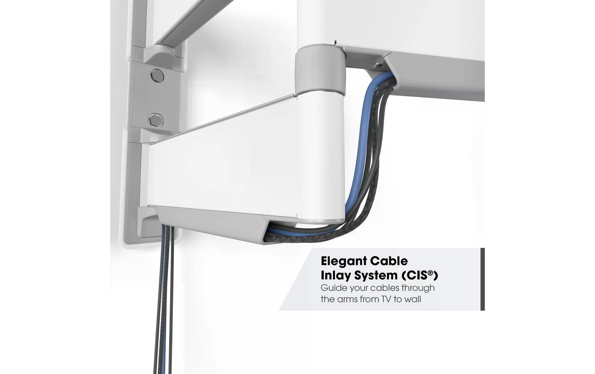 1585083_4 - Mediatech