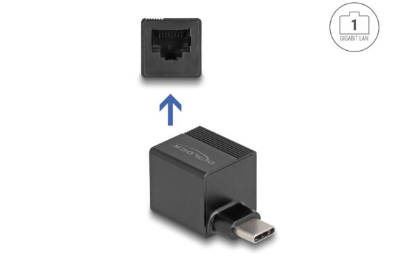 Delock USB Type-C Adapter zu Gigabit LAN mini