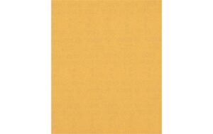 EXPERT C470 Schleifpapier. 230 x 280mm. G 150