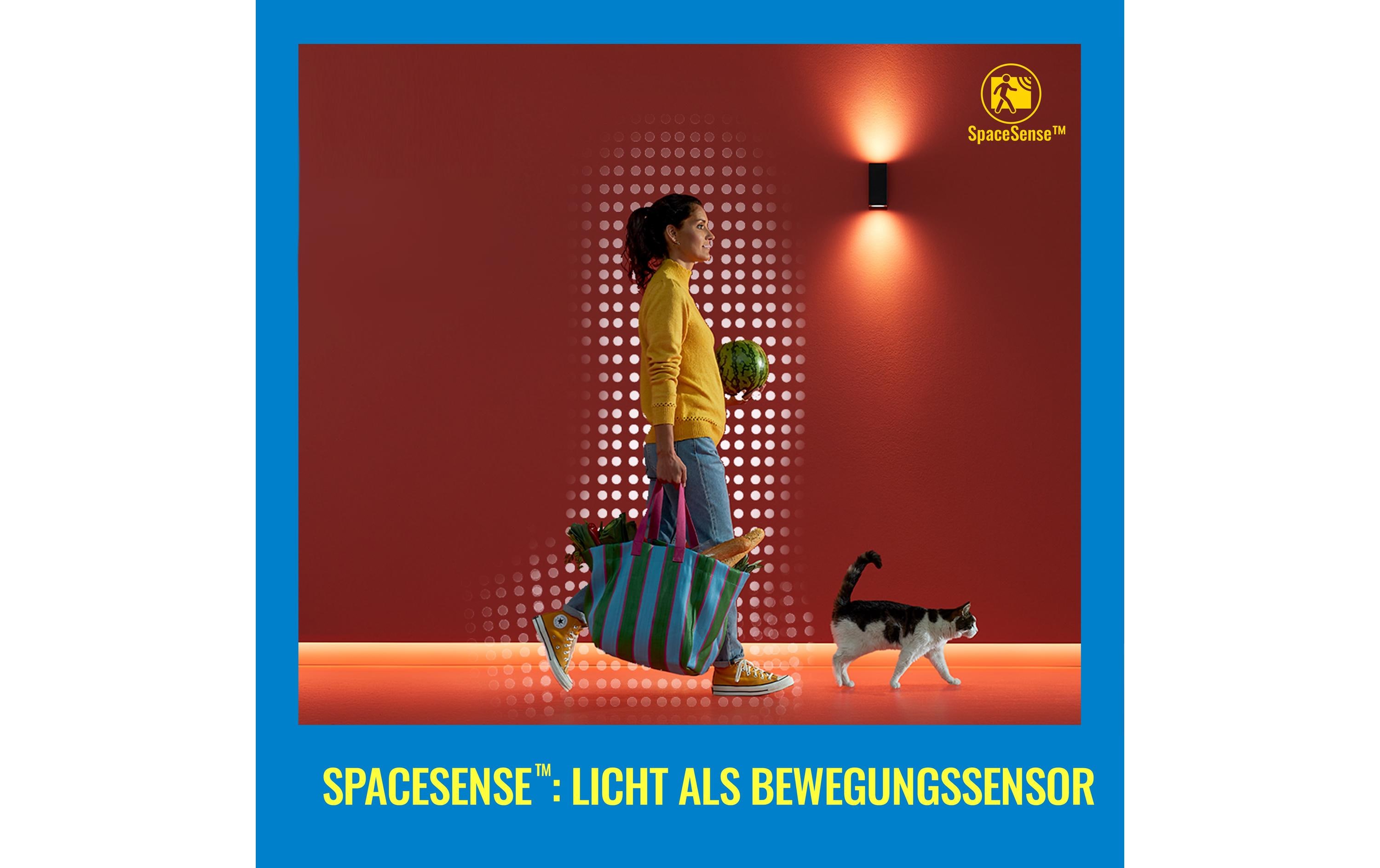 1615201_5 - Mediatech WiZ Lampe mit warmweissem bis kaltweissem Licht, Standardform Glas 60W