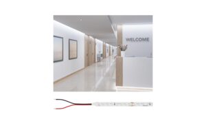 1634694 - Mediatech Paulmann LED Stripes Gold ProLED 10m 6500K P75 965 55W 790lm/m 96LEDs/m kaufen Schweiz | Mediatech.ch