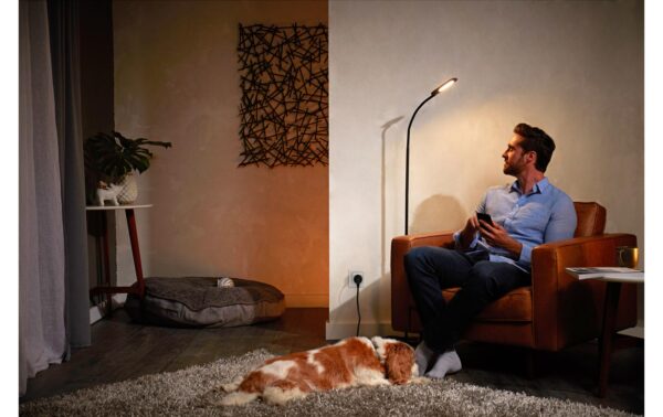 Philips Hue Smart Plug 3er Set CH weiss, BT