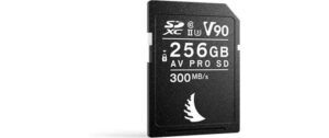 1639940 - Mediatech Angelbird AV PRO SD MK2 256GB V90 1er Pack kaufen Schweiz | Mediatech.ch