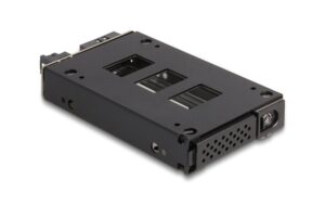 Delock Slim Bay Wechselrahmen für 1x2.5 U.2 NVMe SSD kaufen Schweiz | Mediatech.ch