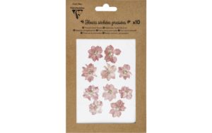 Clairefontaine Trockenblumen Rosa gepresst, 10 Stück