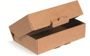 Brieger Klappschachtel 1-wellig 230 x 120 x 90 mm, braun, 50 Stück