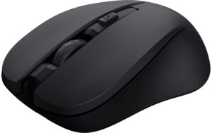 Trust Maus Mydo silent USB 2.4 Ghz kaufen Schweiz | Mediatech.ch