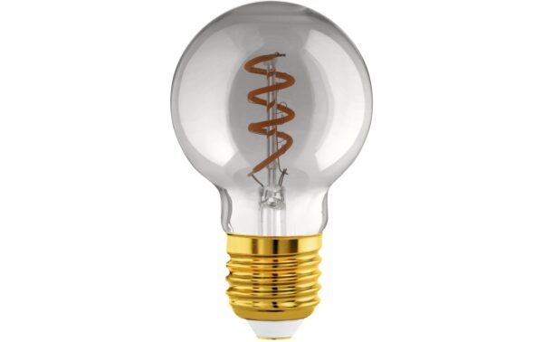 Eglo Leuchtmittel LM-E27-LED G60 4W 2000K SMOKY 1STK kaufen Schweiz | Mediatech.ch