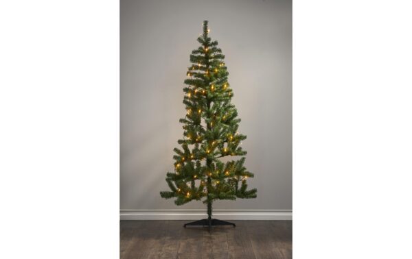 1741179_8 - Mediatech Star Trading LK LED golden 5.6m 560 cm, 80 LEDs, Outdoor, warmweiss
