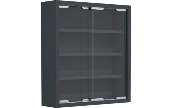 1744540 - Mediatech VCM Wandvitrine Agisa S Anthrazit kaufen Schweiz | Mediatech.ch