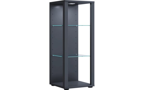 1744593 - Mediatech VCM Standvitrine Glasol M Anthrazit