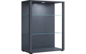 VCM Standvitrine Glasol L Anthrazit
